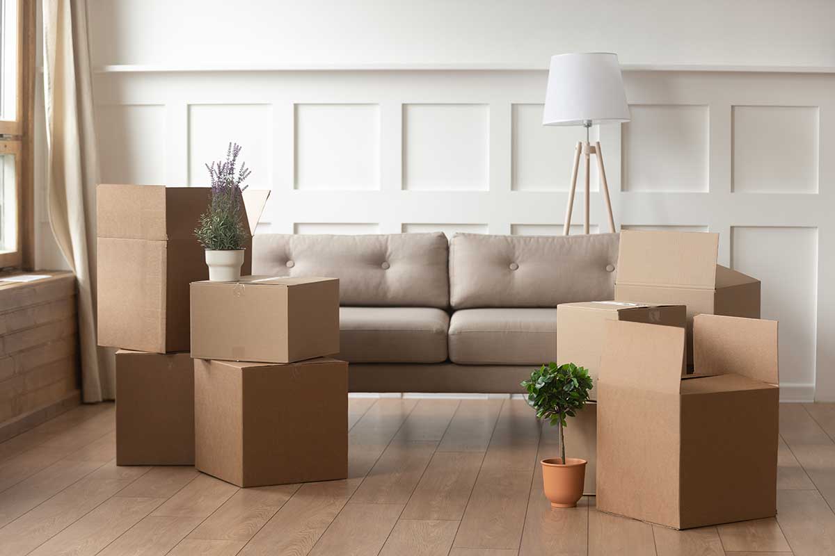 modern house living room with boxes